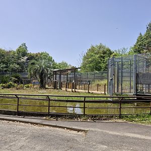 View of (closed) lemur walkthrough