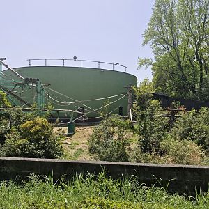 View of chimpanzee enclosure