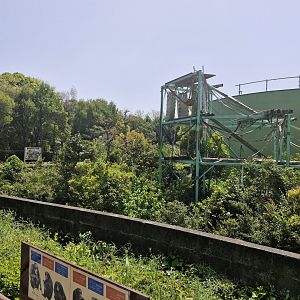 View of chimpanzee enclosure