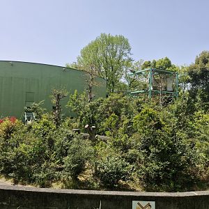 View of chimpanzee enclosure