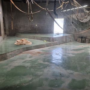 Indoor gorilla house