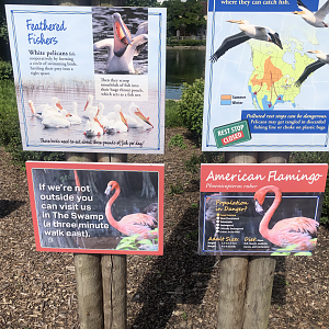 New Flamingo Sign- east side of the formal pool.