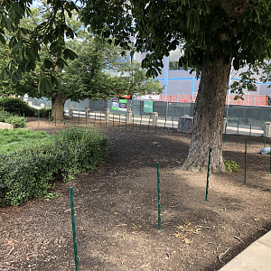 New Flamingo barrier being built.