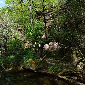 Fishing cat enclosure