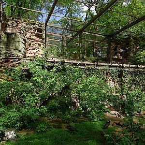 Large waterbird aviary