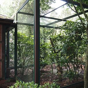 Asian starling/Chinese spotted dove/Laughingthrush/Vietnam pheasant aviary, 2024-05-24