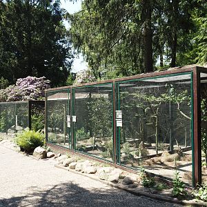 Eurasian aviary block, 2024-05-21