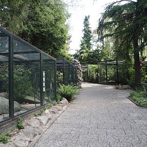 Eurasian aviary block and viewing area for Demoiselle crane exhibit, 2024-05-24