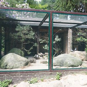 Iberia aviary, 2024-05-21