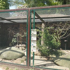 Iberia aviary, 2024-05-21