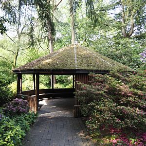 Covered sitting area with view of forest lake, 2024-05-24