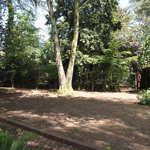 Darwin's rhea paddock, 2024-05-21