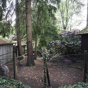 Darwin's rhea paddock, 2024-05-23