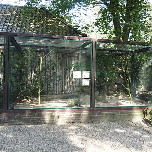 Eurasian jay, Great grey shrike and Alpine rock partridge aviary, 2024-05-21