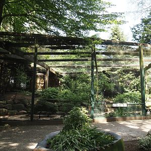 Black stork and Waterfowl aviary, 2024-05-21