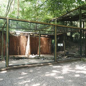 Eurasian oystercatcher and Lesser black-backed gull aviary, 2024-05-21