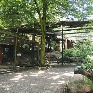 Black stork and Waterfowl aviary and Eurasian oystercatcher and Lesser black-backed gull aviary, 2024-05-21