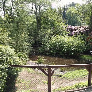 Saddle-billed stork exhibit, 2024-05-21