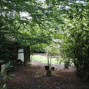 Saddle-billed stork exhibit, 2024-05-24