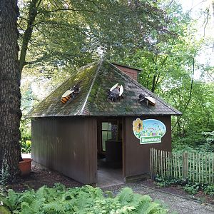 Honey bee house, 2024-05-23
