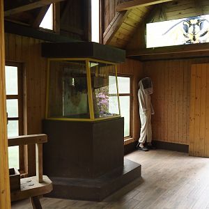 Honey bee house - Viewable bee hive and bee keeeper suit, 2024-05-21