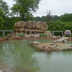 African Penguin Exhibit - Overview