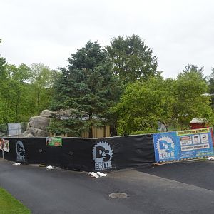 Red Panda Exhibit - Construction