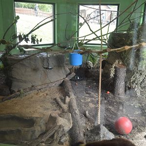 Habitat Madagascar - Indoor Exhibit