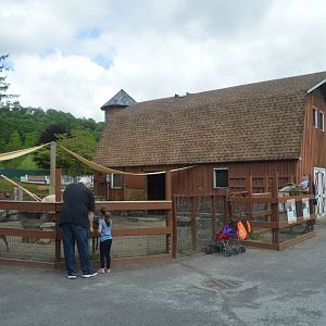 Goat Barn - Overview