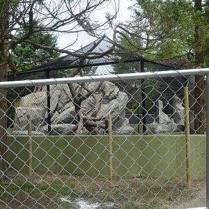 Red Panda Exhibit Construction