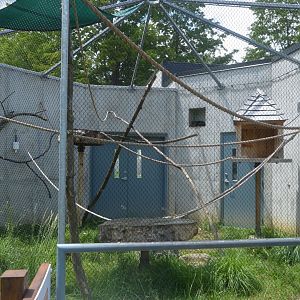 Habitat Madagascar - Outdoor Exhibit