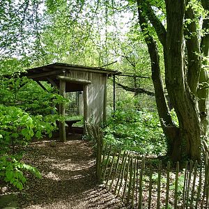 Yellow-throated marten enclosure