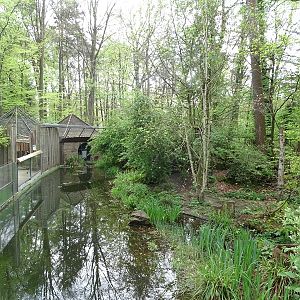 Yellow-throated marten enclosure
