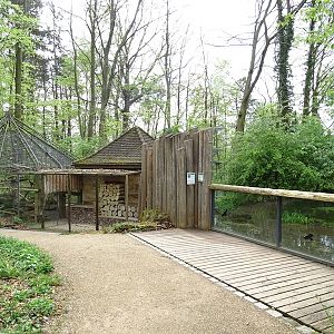 Yellow-throated marten enclosure