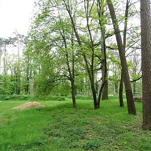 Empty enclosure (formerly wapiti)