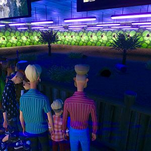 Murray’s Estate - guest view into habitat