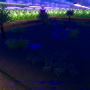 Murray’s Estate - Habitat design