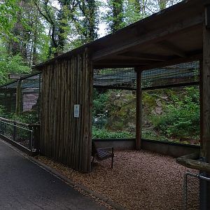Snow leopard enclosure