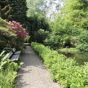 Walkway and benches next to Peruvian pelican exhibit, 2024-05-21