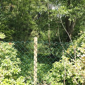 Siberian crane exhibit, 2024-05-21