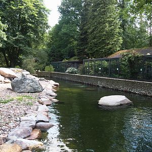 Humboldt penguin and Magellanic flightless steamer duck exhibit and Tropical owl, Small falcon and Parrot aviary block, 2024-05-23