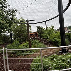 Bald Eagle Exhibit