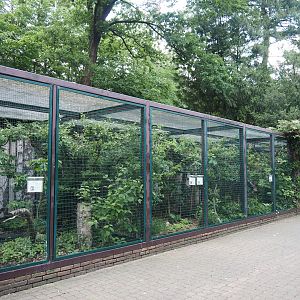 Tropical owl and Small falcon aviary block, 2024-05-23
