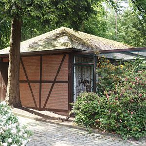 Typical aviary block building, 2024-05-21