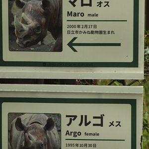 Black rhinoceros signage