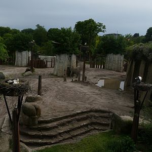 Tembea- Elephant enclosure