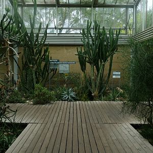 Etoscha Haus- Nephila Spider Walkthrough