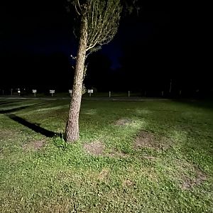 Outback Trail at Night