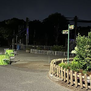 Gorilla Grove at Night