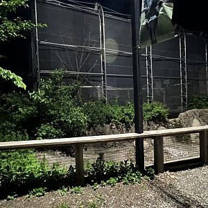 Aussie Aviary at Night